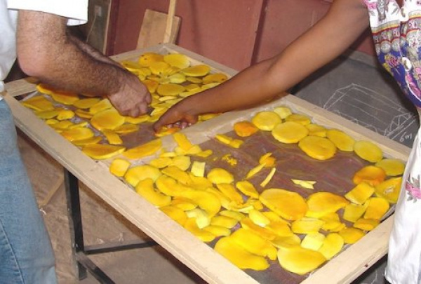 Lomé is currently hosting a two-day forum on public-private partnerships’ role in agricultural transformation