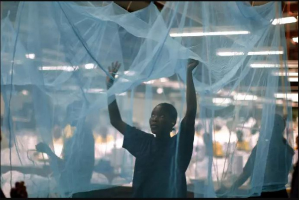 Lutte contre le Paludisme : une campagne pour distribuer 6 millions de moustiquaires au Togo