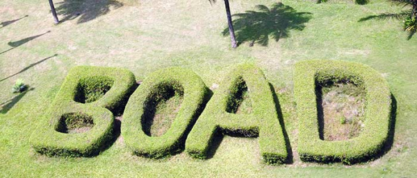 BOAD disburses CFA50 million for environmental protection in Lomé