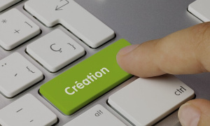 Togo&nbsp;: 10 545&nbsp;entreprises cr&eacute;&eacute;es en 2018