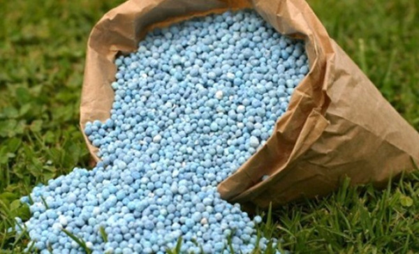 Togolese state to spend over CFA17.6 billion on fertilizer subsidies this year