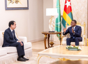 India&#039;s New Ambassador Pledges Economic Partnership Boost With Togo