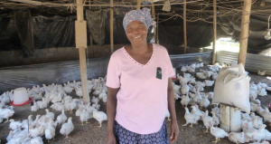 Embellie pour la microfinance togolaise : d&eacute;p&ocirc;ts +10,1% et cr&eacute;dits +10%