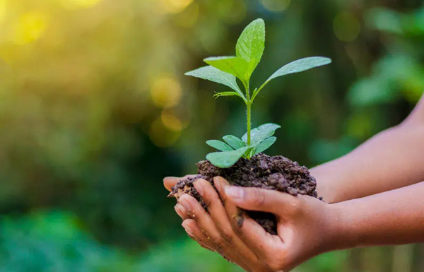 Ministry of Environment gets CFA19 billion provisional budget for 2024