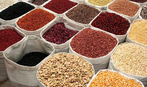 Togo: 6,500 tons of seeds to be distributed in the 2020-2021 agricultural season
