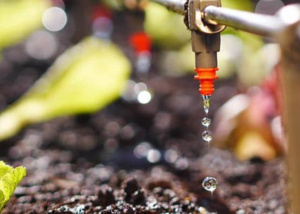 Togo : Ouverture du 9&egrave;me Salon International de l'Agriculture et de l'Agroalimentaire de Lom&eacute;