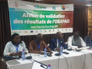 Depuis Lom&eacute;, des pays ouest-africains pr&eacute;parent une base de donn&eacute;es int&eacute;gr&eacute;es sur la biodiversit&eacute;