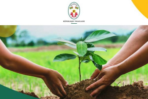 Avec dans le viseur 1 milliard d&rsquo;arbres, le Togo veut financer les initiatives de reboisement