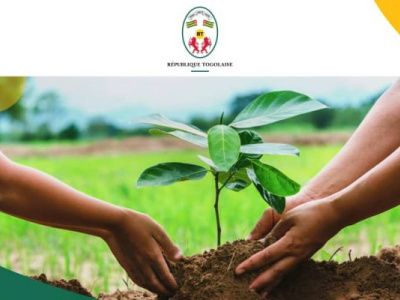 avec-dans-le-viseur-1-milliard-d-arbres-le-togo-veut-financer-les-initiatives-de-reboisement