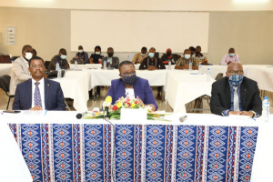Togo: CFA18.8 billion spent on grassroots development projects in 2021, down 25% YoY