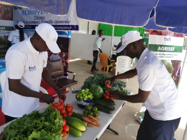 Une foire annoncée à Anié pour promouvoir l’agriculture, l’artisanat et le commerce