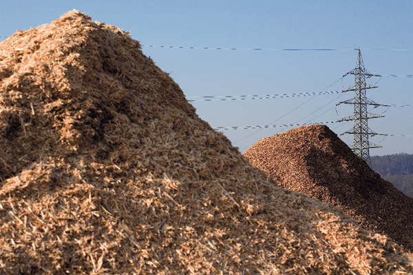 Togo : l’exportation des déchets issus de la biomasse, désormais soumise à autorisation préalable