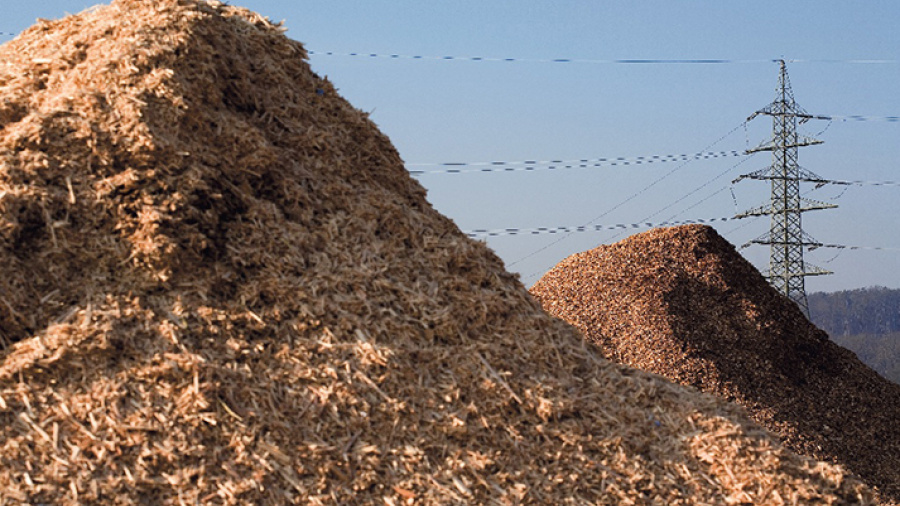 Togo : l’exportation des déchets issus de la biomasse, désormais soumise à autorisation préalable