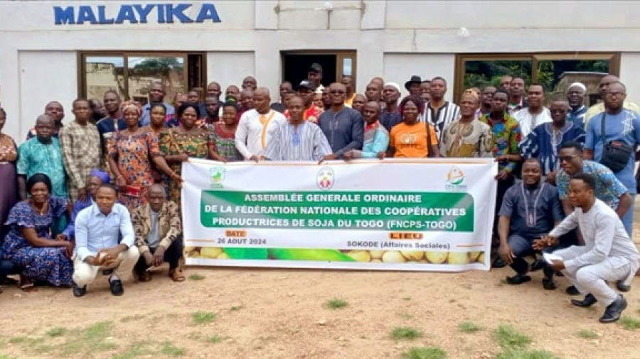 Togo : changement à la tête de la Fédération nationale des coopératives productrices de soja