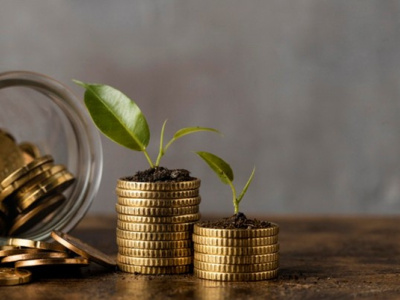 togo-la-fao-accompagne-le-secteur-prive-dans-l-acces-aux-financements-climatiques