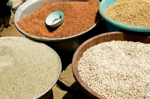 Togo : 13 milliards FCFA pour assurer la s&eacute;curit&eacute; alimentaire en 2024