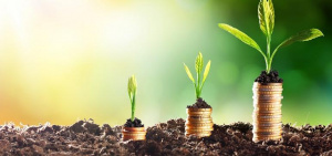 Togo&nbsp;: Des investissements qui ont quasiment doubl&eacute; dans le secteur agricole sur les derni&egrave;res ann&eacute;es