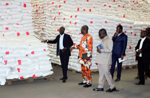 S&eacute;curit&eacute; alimentaire : le Togo r&eacute;ceptionne une cargaison de 1625 tonnes de riz du Japon