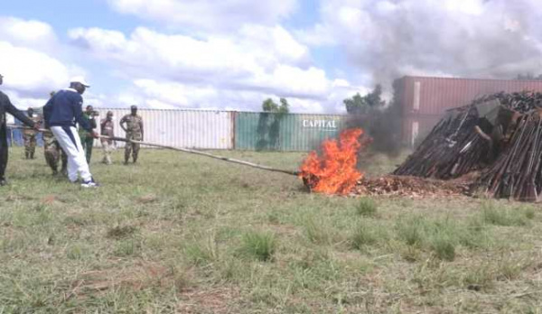 Togo: Destruction de plus de 2000 armes à feu à l&#039;occasion de la journée internationale de la paix