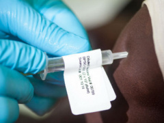 Togo: World Health Organization holds a workshop to train African experts on ways to produce more reliable health data