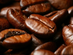 ACRAM to open a training academy to boost the robusta coffee sector