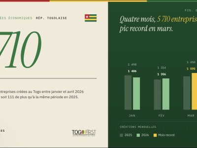 cinq-graphiques-pour-comprendre-la-hausse-de-la-creation-d-entreprises-au-togo-en-2026