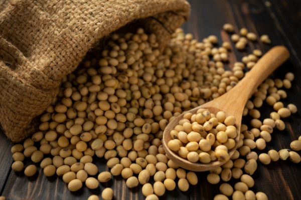 Togo’s organic soybean exports to the EU surged by 115% in 2019