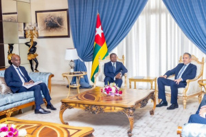 EU Commits to Back Togolese Mediation in DRC Crisis