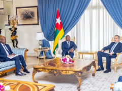 EU Commits to Back Togolese Mediation in DRC Crisis