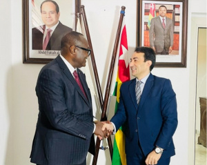 Togo, Egypt to Hold Economic Forum in An&eacute;ho on November 24