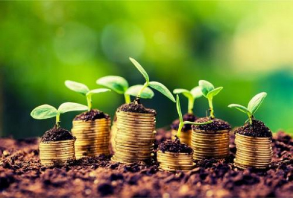 Togo: Around $14B Needed by 2050 to Fight Climate (World Bank)