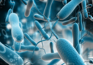 Togo : un nouveau cas de chol&eacute;ra !