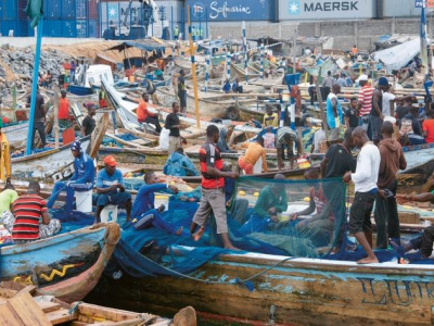 repos-biologique-garde-cotes-subventions-le-togo-presente-sa-strategie-de-modernisation-de-la-peche-artisanale