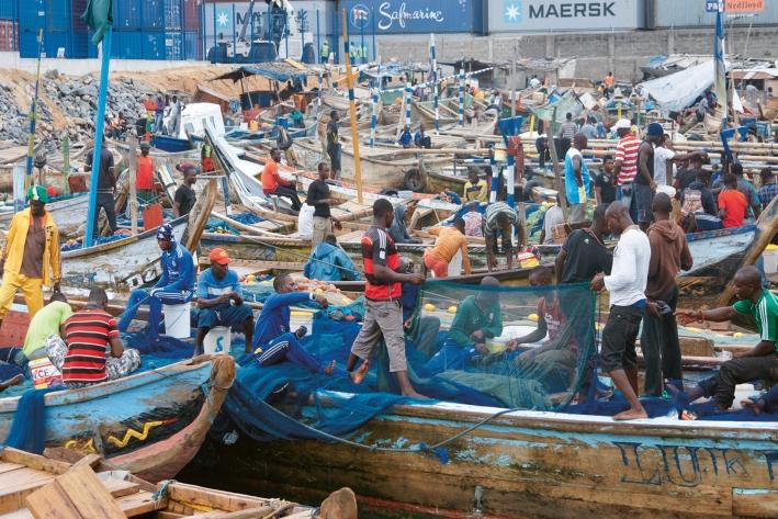 Repos biologique, garde-c&ocirc;tes, subventions : le Togo pr&eacute;sente sa strat&eacute;gie de modernisation de la p&ecirc;che artisanale