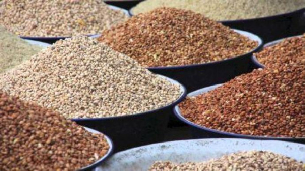 Togo records a surplus of 70,000 tons of grains for 2019-2020 campaign