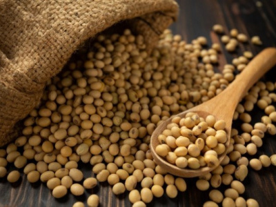 togo-to-market-250-000t-of-soybeans-in-the-2021-2022-campaign