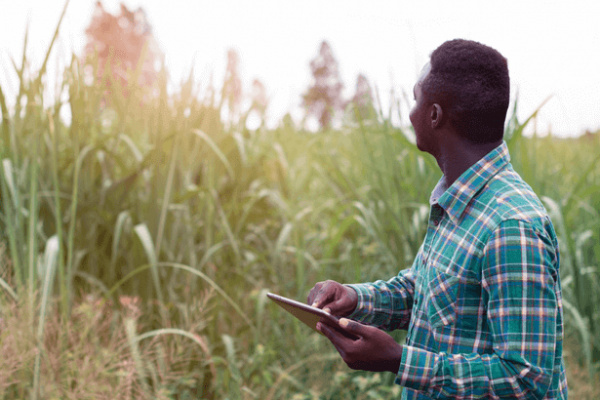 Ministry of agriculture launches an e-learning platform