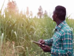 Ministry of agriculture launches an e-learning platform