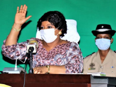 Cotton: Deputies pass bill to privatize the Nouvelle Société Cotonnière du Togo (NSCT)
