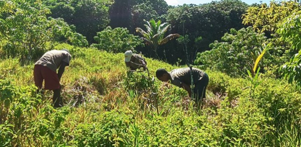 Togo Reviews FAO-Supported Rural Projects on Restoration and Agroecology