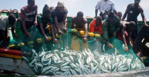 Togo Suspends Artisanal and Industrial Fishing