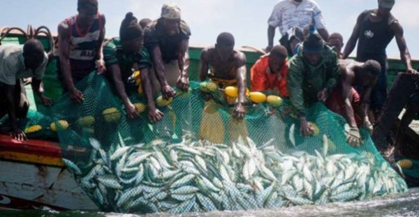 Togo Suspends Artisanal and Industrial Fishing