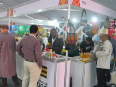 A Togolese delegation is in Cairo for the Intra-African Trade Fair