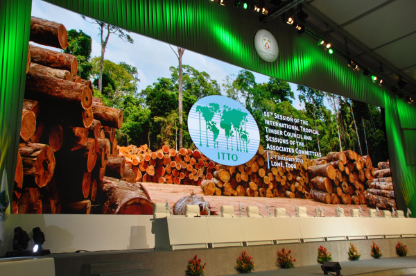 Le Togo espère un financement de près de 2 millions $ du Conseil International des Bois Tropicaux