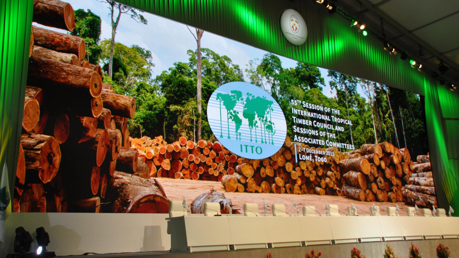 Le Togo espère un financement de près de 2 millions $ du Conseil International des Bois Tropicaux