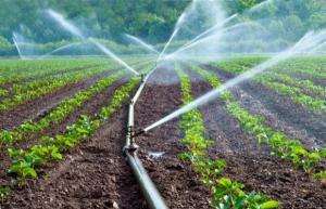 2020-2021 agricultural campaign: 15,000 irrigation kits will be distributed starting from November