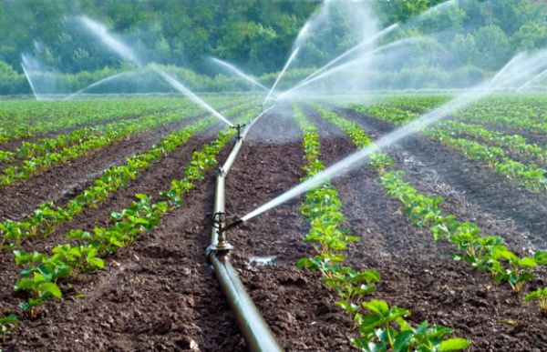 2020-2021 agricultural campaign: 15,000 irrigation kits will be distributed starting from November