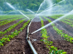 2020-2021 agricultural campaign: 15,000 irrigation kits will be distributed starting from November