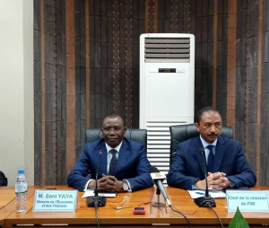 Togo: Bonne performance dans le cadre de la 5&egrave;me revue de la Facilit&eacute; &eacute;largie de cr&eacute;dit du FMI