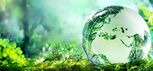 L'ENA se forme au d&eacute;veloppement durable